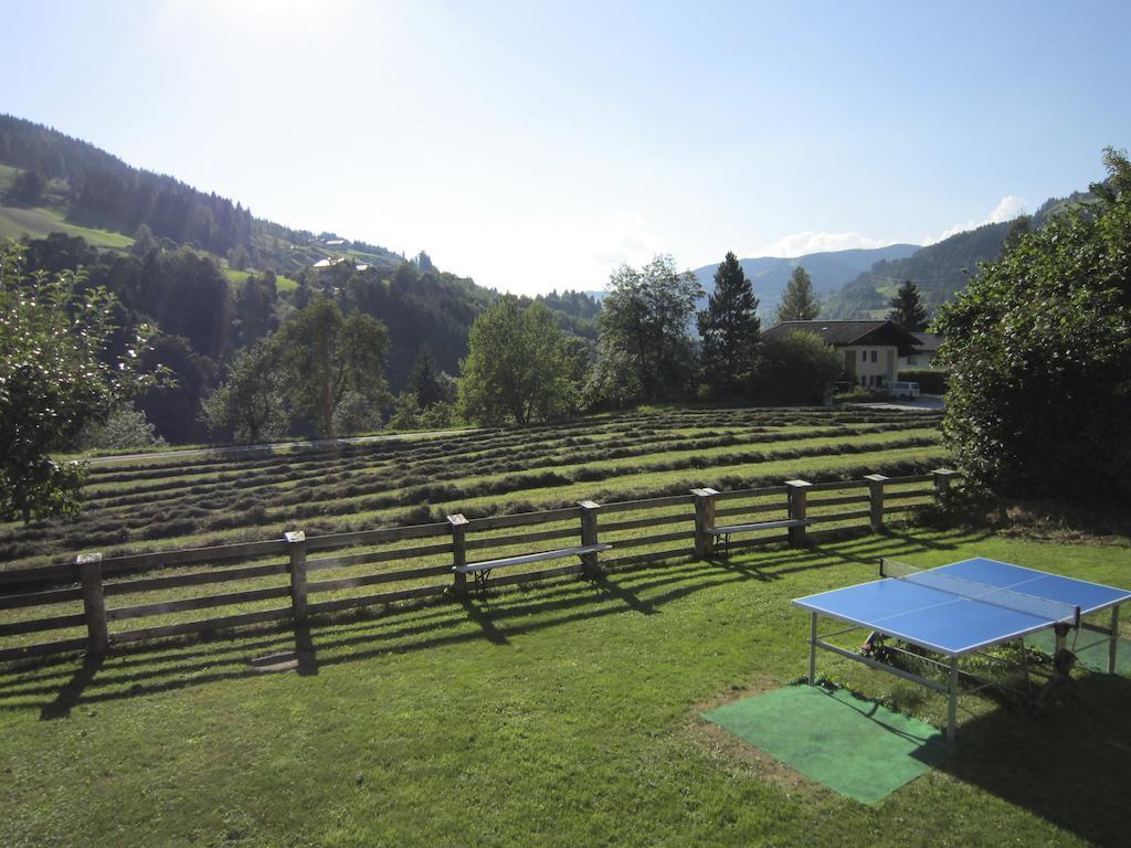 Apart-Pension Seiwald Wagrain Extérieur photo